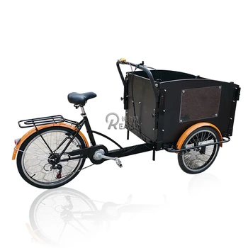 Гореща Продажба на Товарен под Наем 3-Колесни Евтиният Електрически Велосипед Триколка за Възрастни с Алуминиева рамка