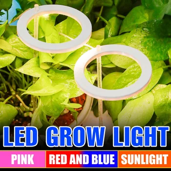 Led Лампа за отглеждане на Фитолампы За Растенията, Лампа Пълен Спектър, Лампа За Растеж, Хидропоника, Осветление USB, Оранжерия, Семена от Цветя В стаята